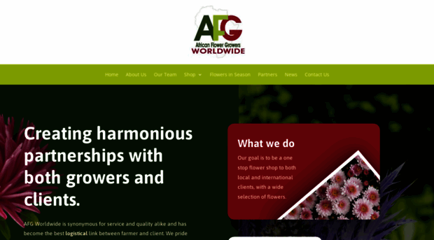 afg-worldwide.com