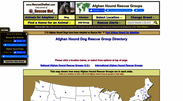 afghanhound.rescueshelter.com