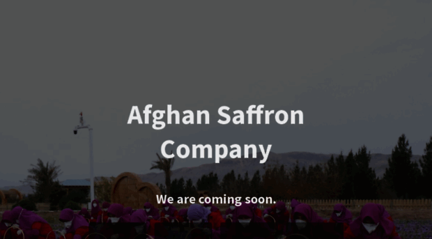 afghansaffron.com