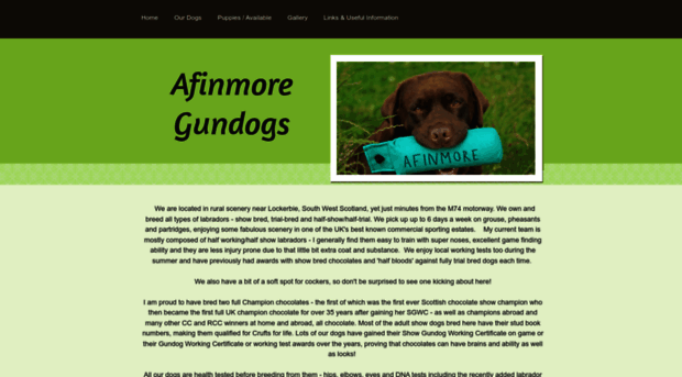 afinmore.co.uk