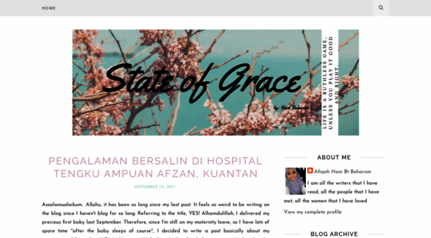 afiqahani.blogspot.com