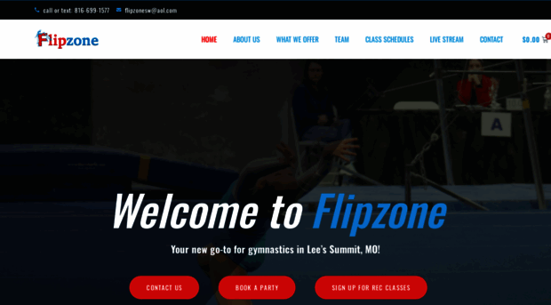 aflipzone.com