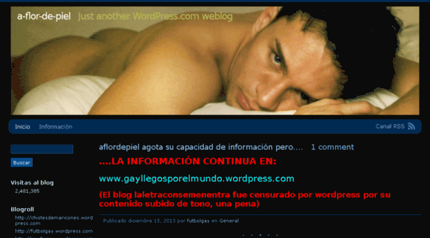 aflordepiel.wordpress.com