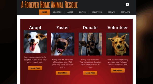 aforeverhomeanimalrescue.org