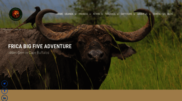 africa-expeditions.com