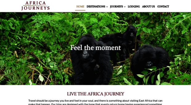 africajourneysltd.com