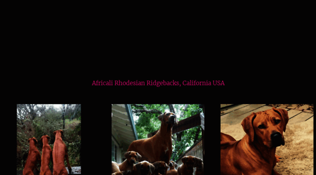 africalirhodesianridgebacks.com