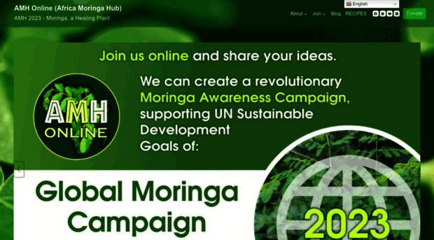 africamoringahub.org