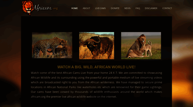 africamqsss.weebly.com