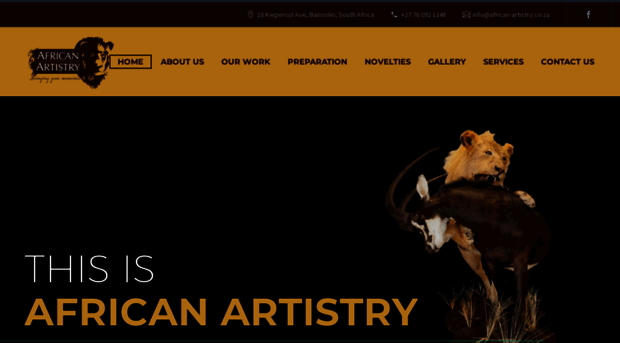 african-artistry.co.za