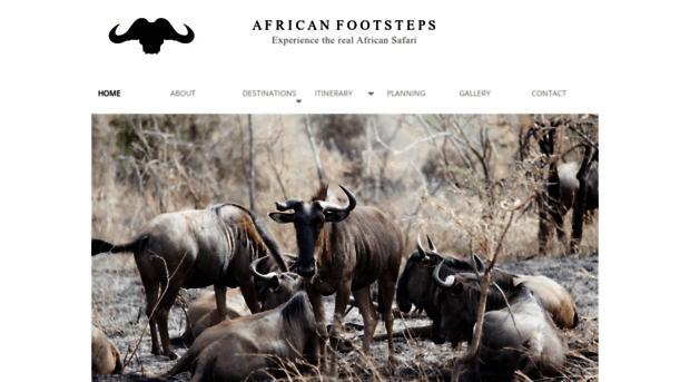 african-footsteps.com