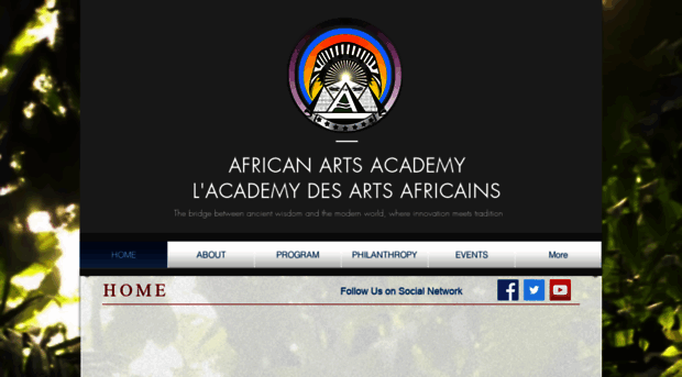 africanartsacademy.com