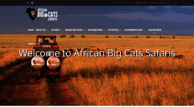 africanbigcatssafaris.com