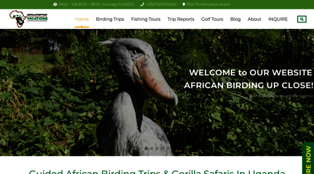 africanbirdingtrips.com