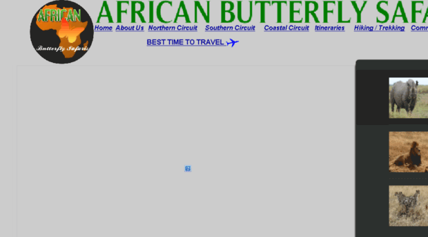 africanbutterflysafaris.com