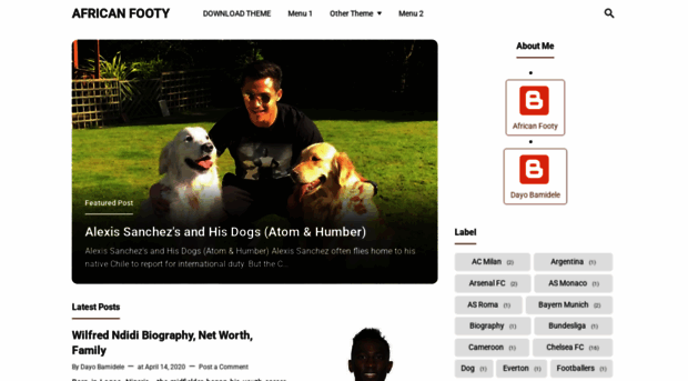 africanfooty.blogspot.com