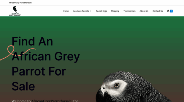 africangreyparrotforsale.com