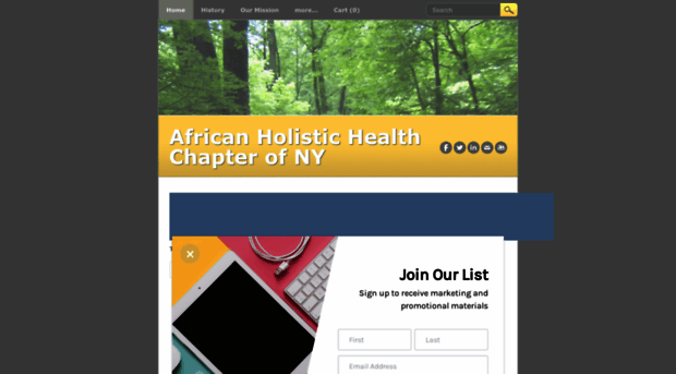 africanholistic.weebly.com