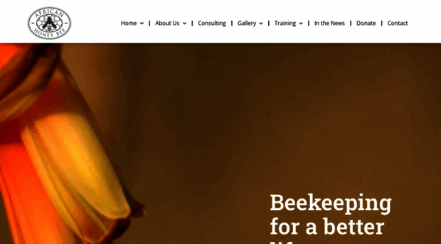 africanhoneybee.co.za