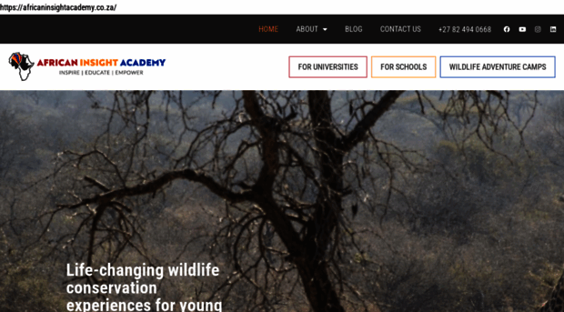 africaninsightacademy.co.za