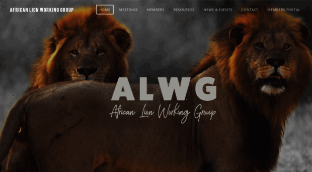 africanliongroup.org