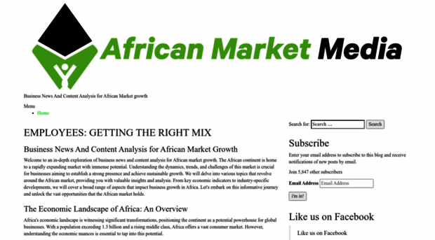 africanmarketmedia.com