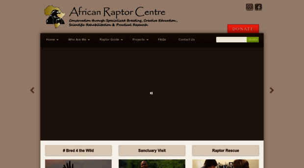 africanraptor.co.za