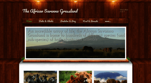 africansavannagrassland.weebly.com