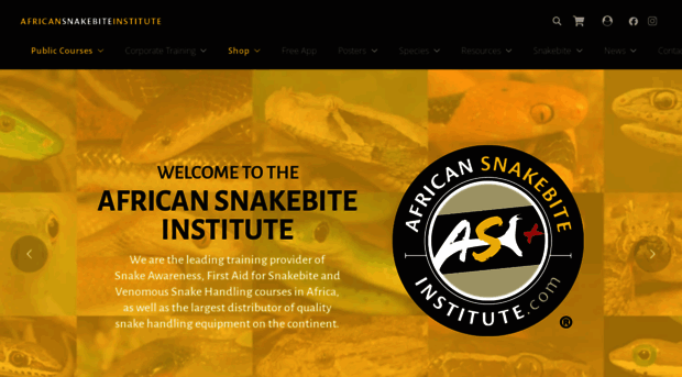 africansnakebiteinstitute.com