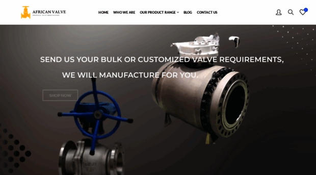 africanvalve.com