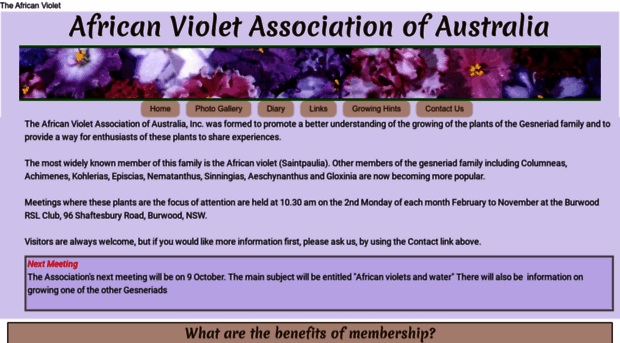 africanviolet.org.au