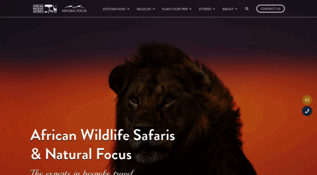 africanwildlifesafaris.com