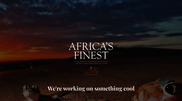 africasfinest.co.za