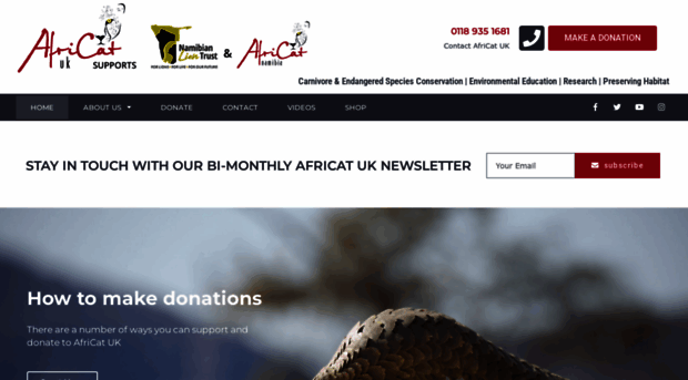 africat.co.uk