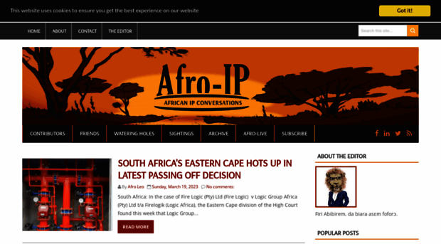 afro-ip.blogspot.com