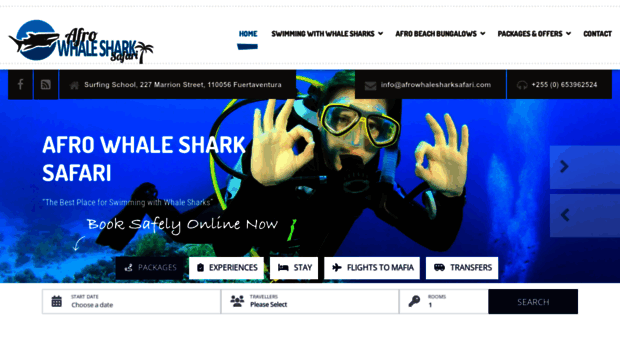 afrowhalesharksafari.com