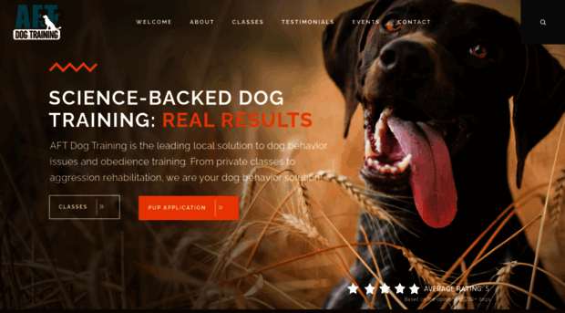 aftdogtraining.com