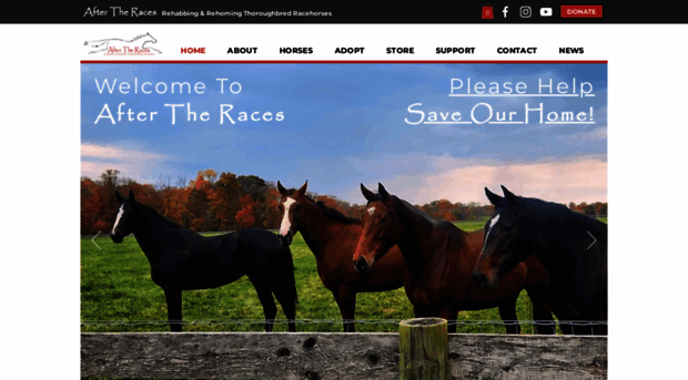 aftertheraces.org