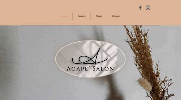 agapesalonnsd.com