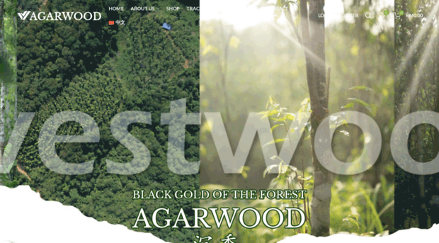 agarwooddirect.com