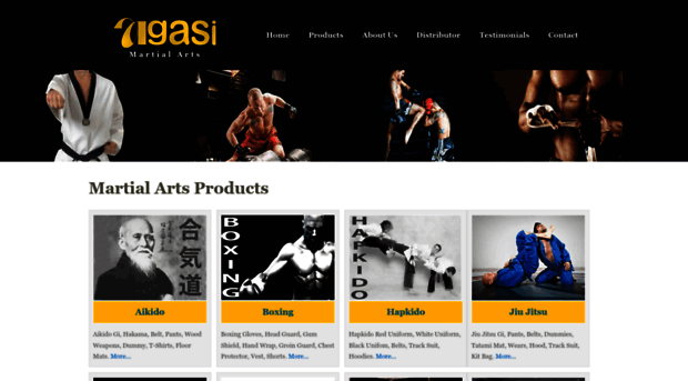 agasimartialarts.com