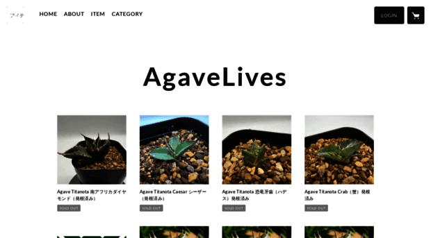 agavelives.shop