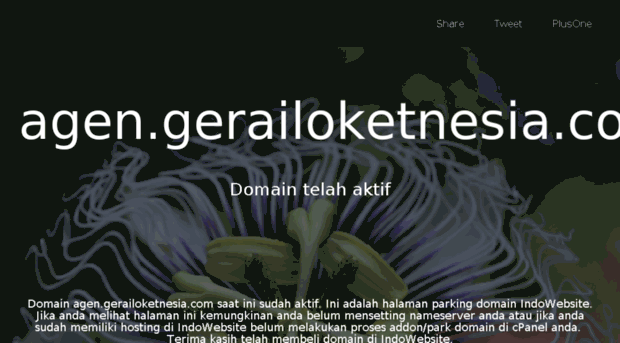 agen.gerailoketnesia.com