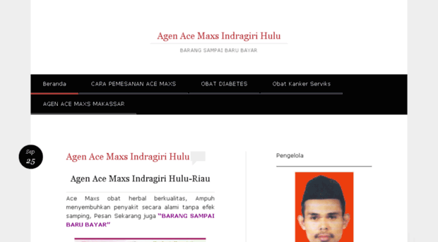 agenacemaxsindragiri01.wordpress.com