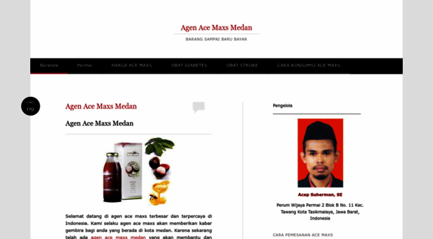 agenacemaxsmedan01.wordpress.com