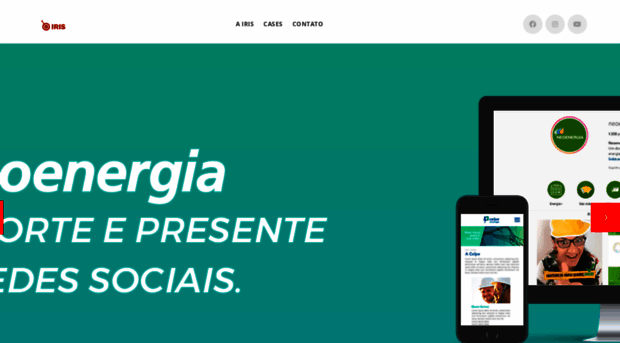 agenciairis.com.br