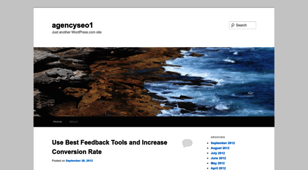 agencyseo1.wordpress.com