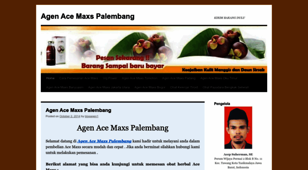 agenpalembangir.wordpress.com