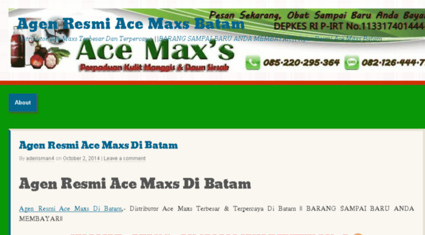 agenresmiacemaxsbatam.wordpress.com