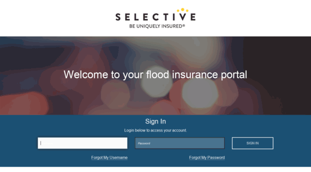 agent.selectiveflood.com